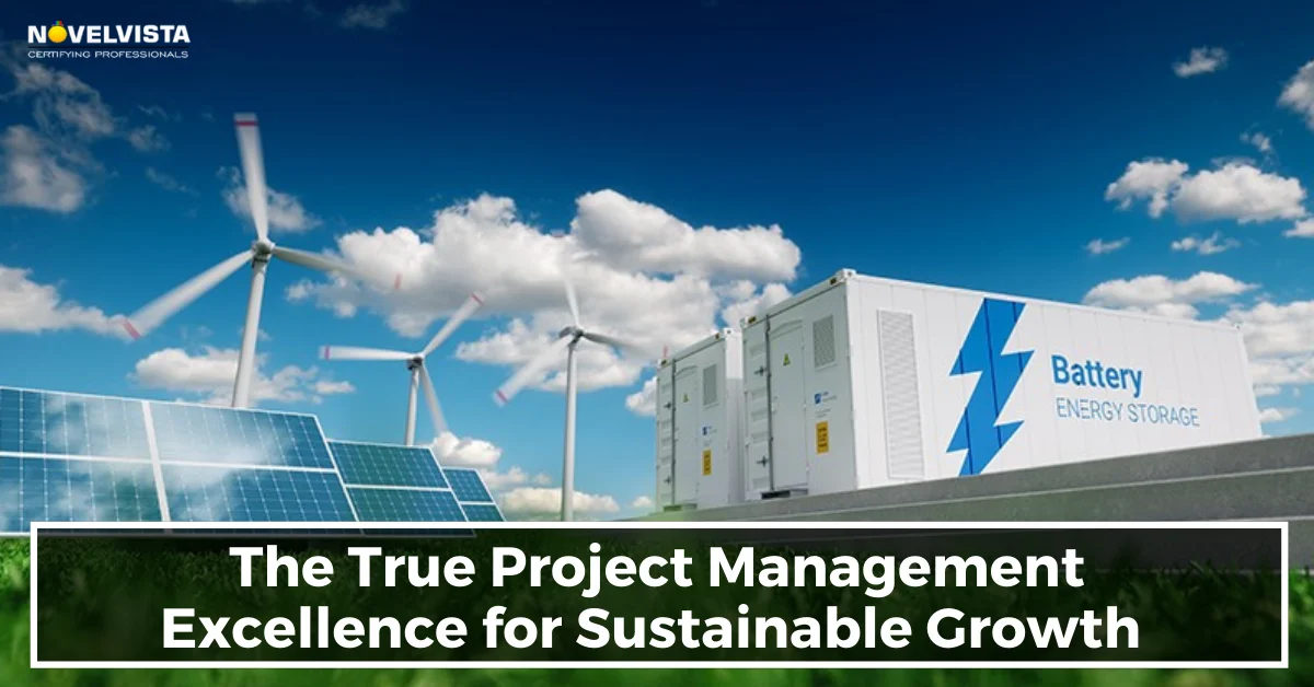 The True Project Management Excellence for Sustainable Growth
