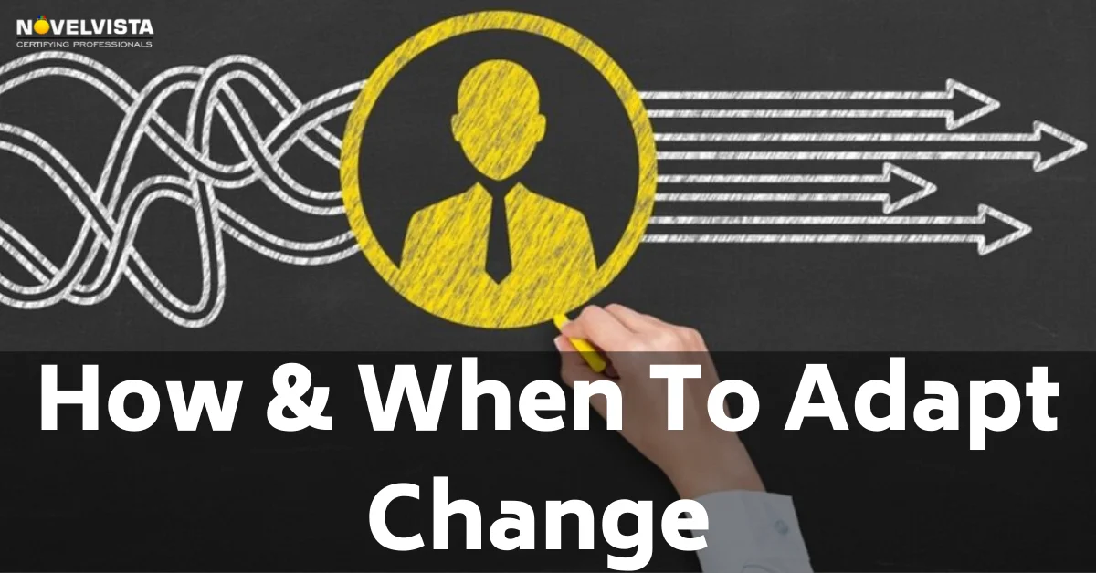 The What And Whens Of Important Adoptions For Change Management | Novelvista