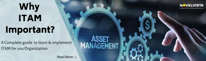 Why IT Asset Management Important? | Novelvista