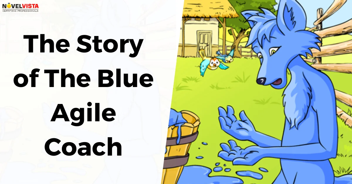 The Story of The Blue Agile Coach
