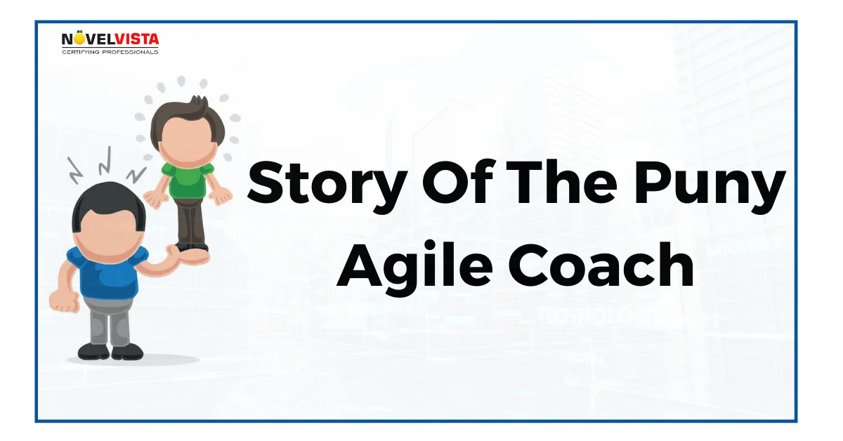 Story Of The Puny Agile Coach