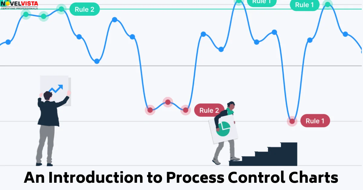 An Introduction to Process Control Charts | Novelvista