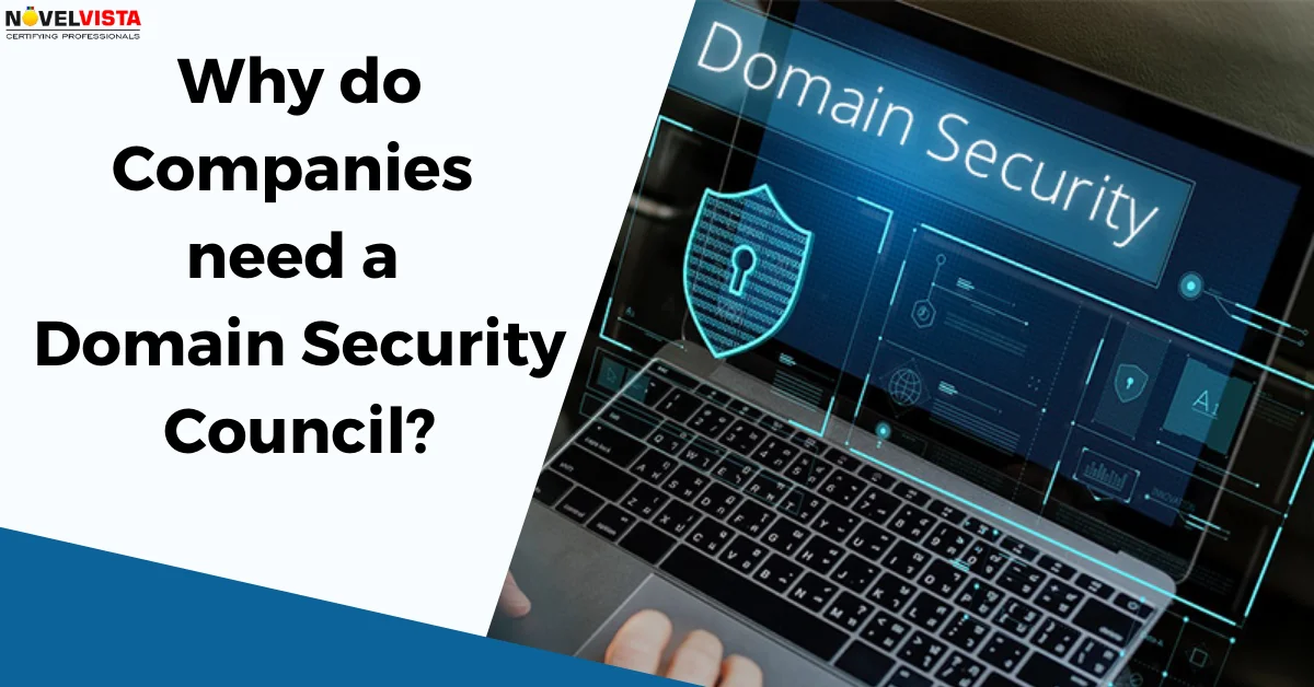 Why do companies need a domain security council?