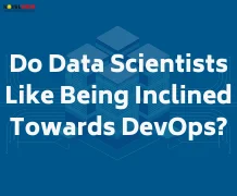 Do Data Scientists Like Being Inclined Towards DevOps?
