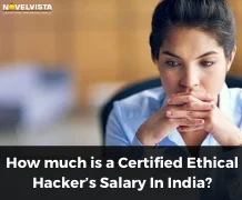 How much is a Certified Ethical Hackers Salary In India?