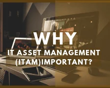 Why IT Asset Management Important?