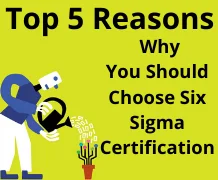 Top 5 Reasons You Should Choose Six Sigma Certification