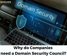 Why do companies need a domain security council?