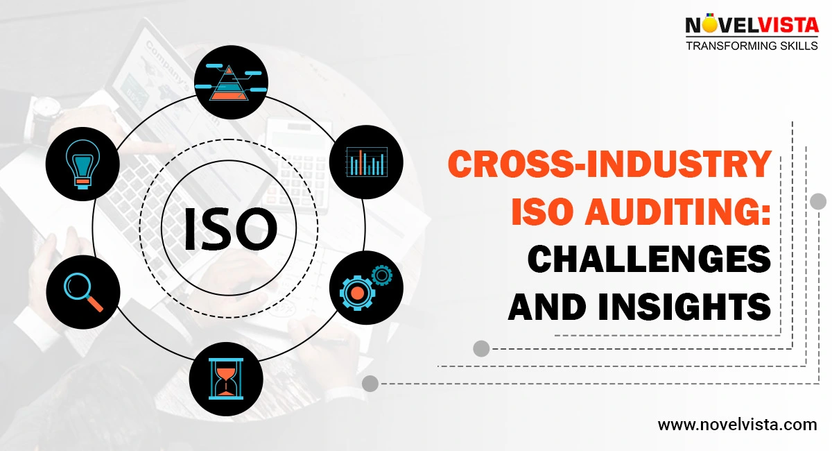 Cross-Industry ISO Auditing: Challenges and Insights