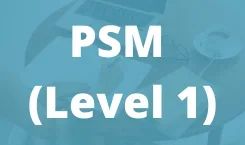 Professional Scrum Master PSM - 1